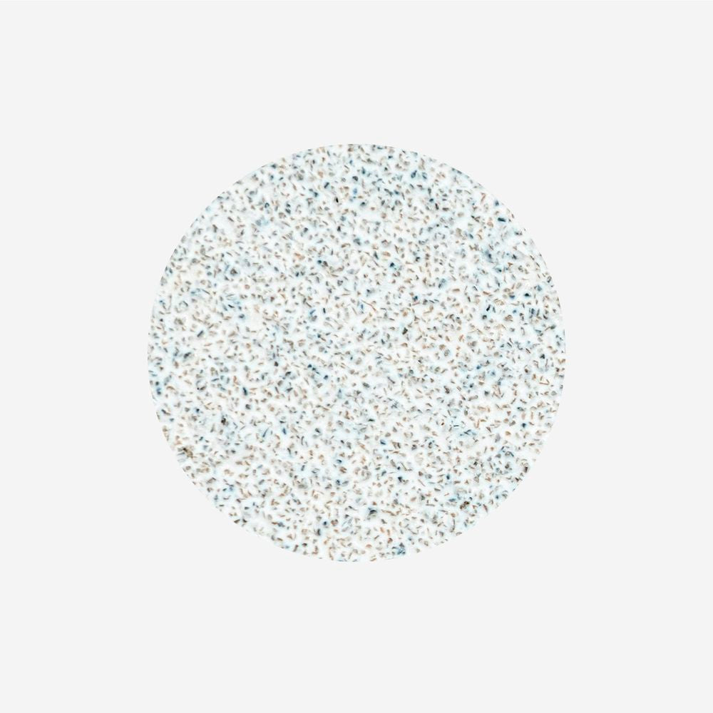 Staleks Disposable White Files on Soft Foam Layer for Pedicure Disc PODODISC L EXPERT 80 Grit (50 pcs)